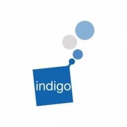 Indigo Business Services Limited